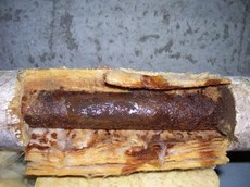 Prodotti Fibrac